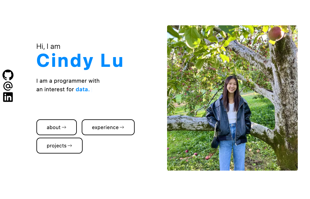 This Website's Demo